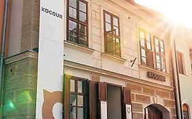 Hotel Kocour